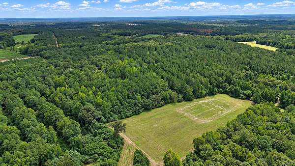 125 Acres of Recreational & Residential Land for Sale in St. Matthews, South Carolina