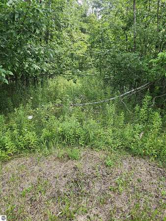 10 Acres of Recreational Land for Sale in Prescott, Michigan