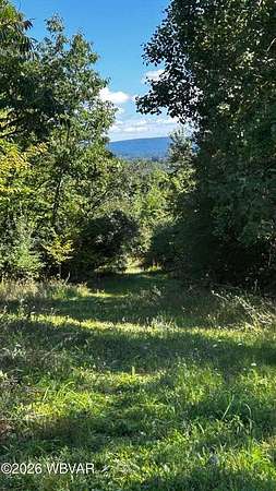 65 Acres of Recreational Land for Sale in Wyalusing, Pennsylvania