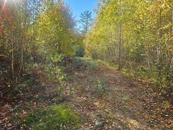 40.7 Acres of Recreational Land for Sale in Deblois, Maine