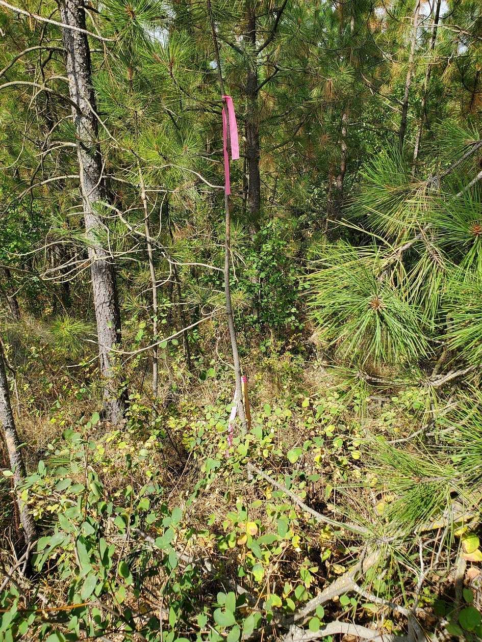 0.24 Acres of Residential Land for Sale in Rockford, Washington