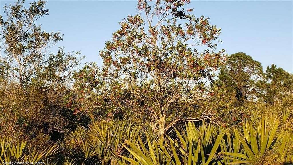 1 Acre of Residential Land for Sale in Lorida, Florida