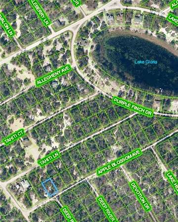 0.23 Acres of Residential Land for Sale in Lake Placid, Florida