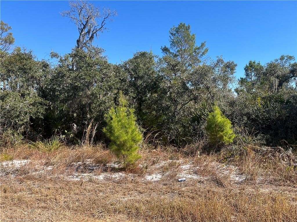 0.26 Acres of Residential Land for Sale in Lake Placid, Florida