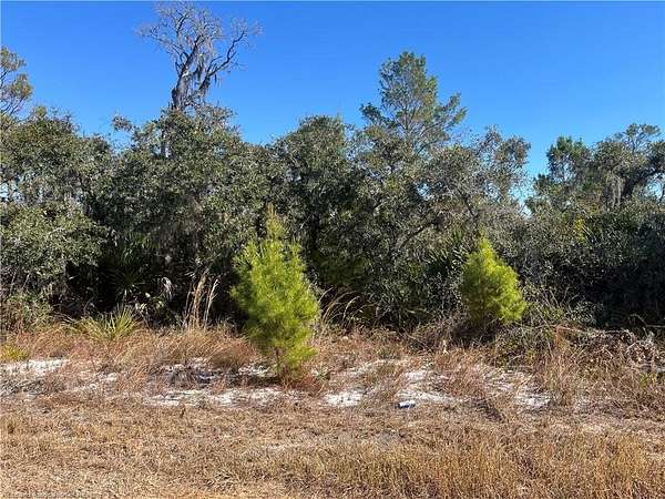 0.26 Acres of Residential Land for Sale in Lake Placid, Florida