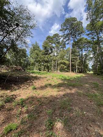 2.27 Acres of Residential Land for Sale in Pineland, Texas