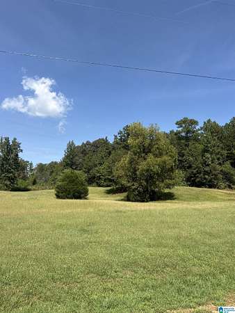 14.8 Acres of Land for Sale in Wedowee, Alabama