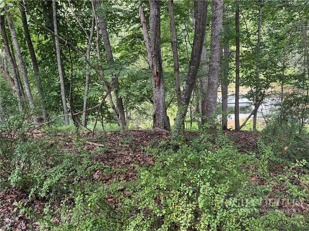 0.83 Acres of Land for Sale in Piney Creek, North Carolina
