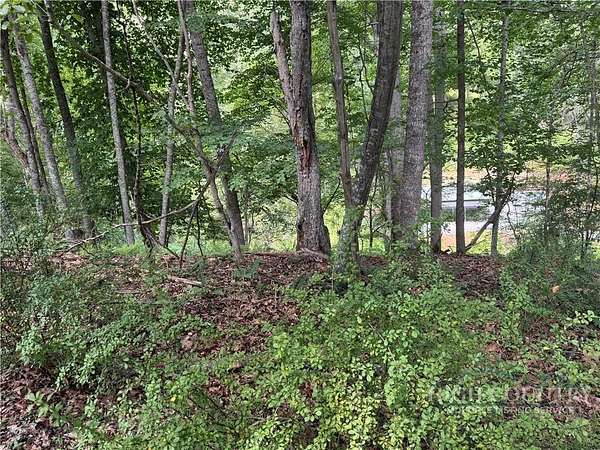 0.83 Acres of Land for Sale in Piney Creek, North Carolina