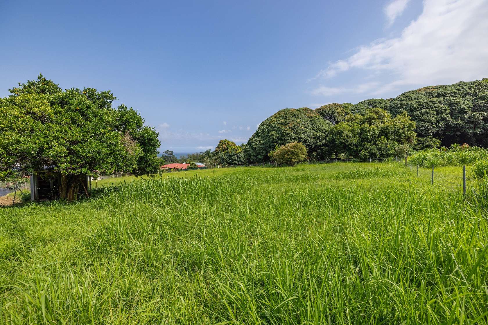 0.3 Acres of Residential Land for Sale in Hakalau, Hawaii