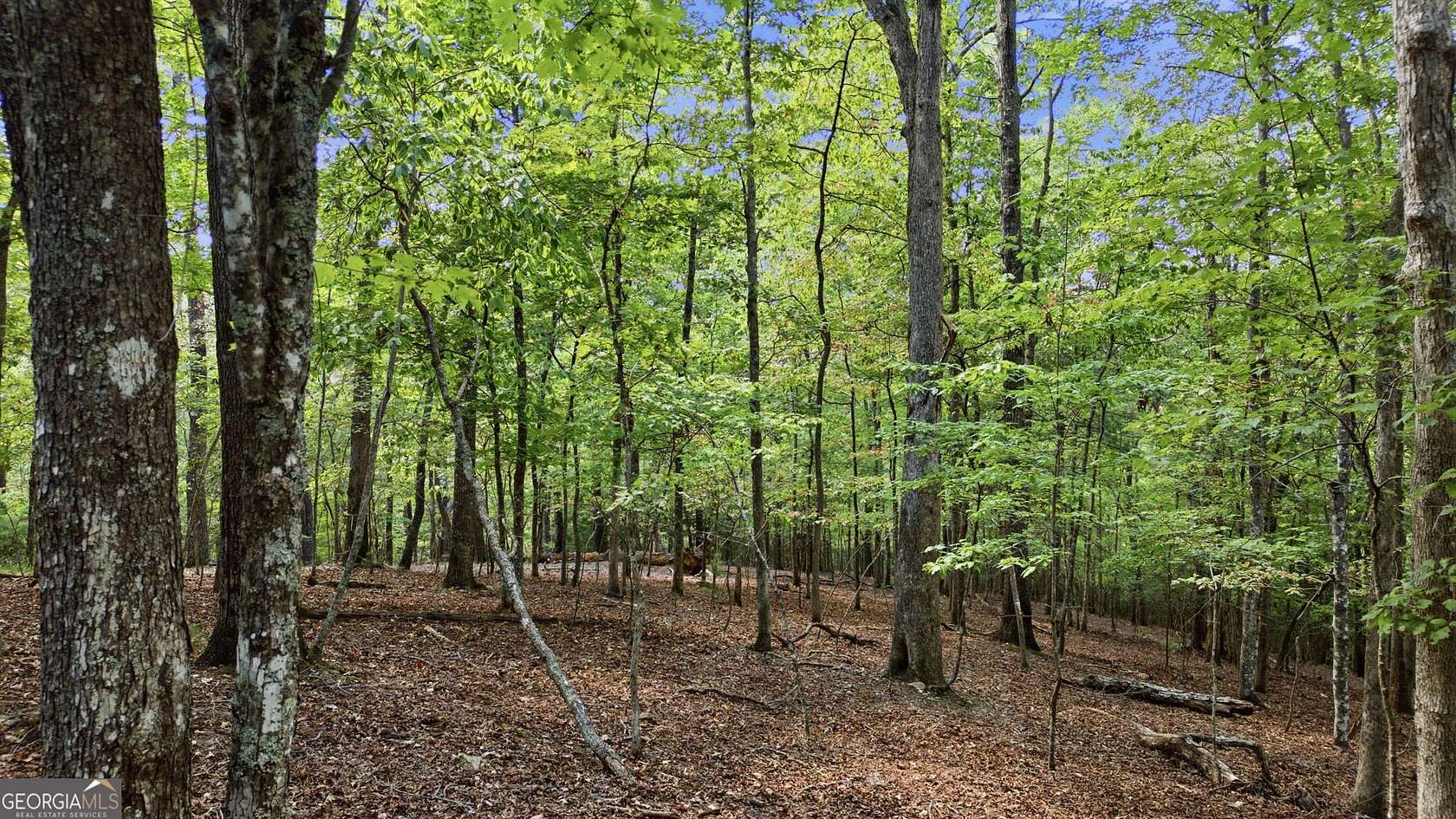 2.36 Acres of Land for Sale in Blue Ridge, Georgia