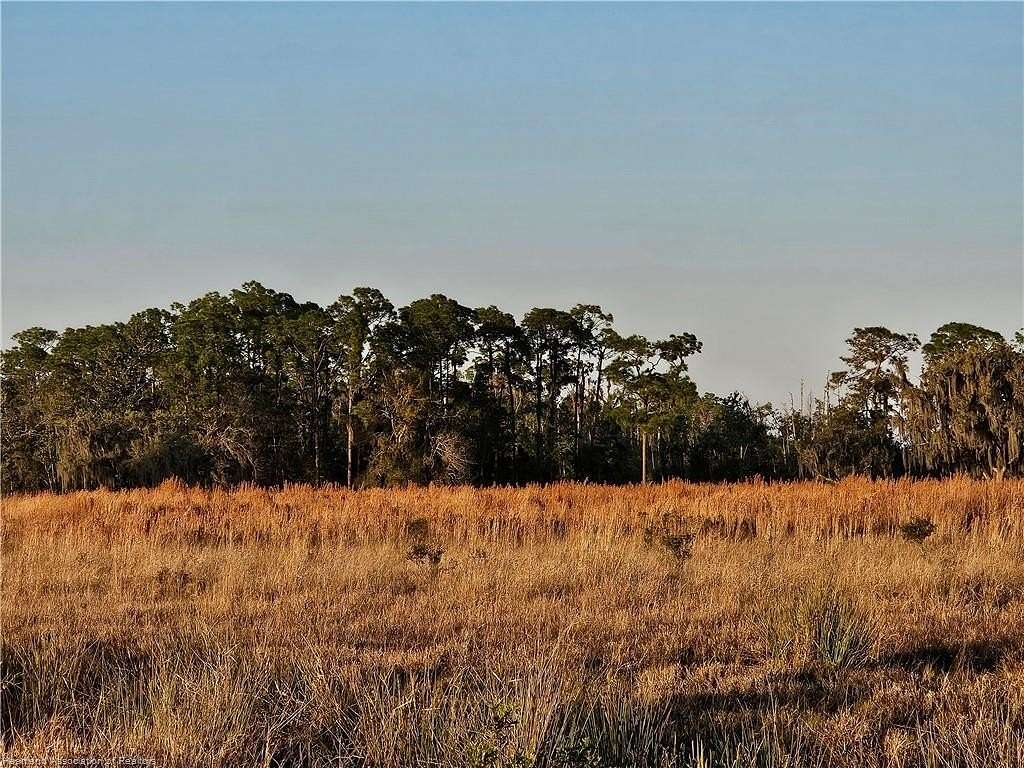 19.7 Acres of Land for Sale in Venus, Florida