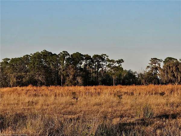 19.7 Acres of Land for Sale in Venus, Florida