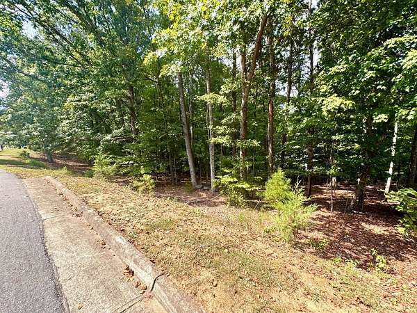 0.56 Acres of Residential Land for Sale in Moneta, Virginia
