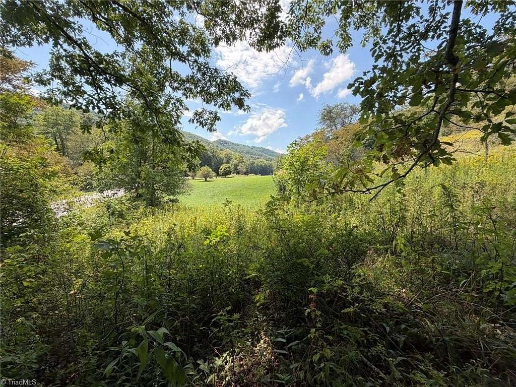 9.2 Acres of Residential Land for Sale in Fleetwood, North Carolina