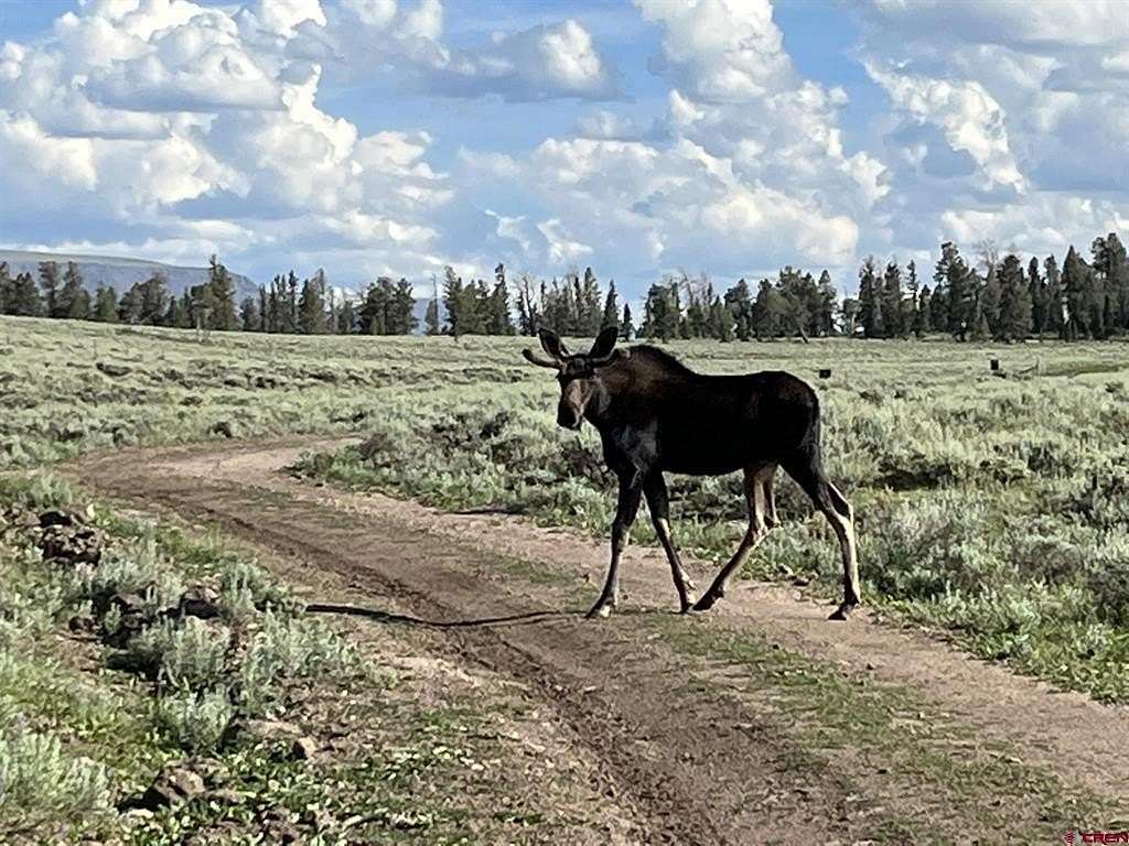 2 Acres of Residential Land for Sale in Powderhorn, Colorado