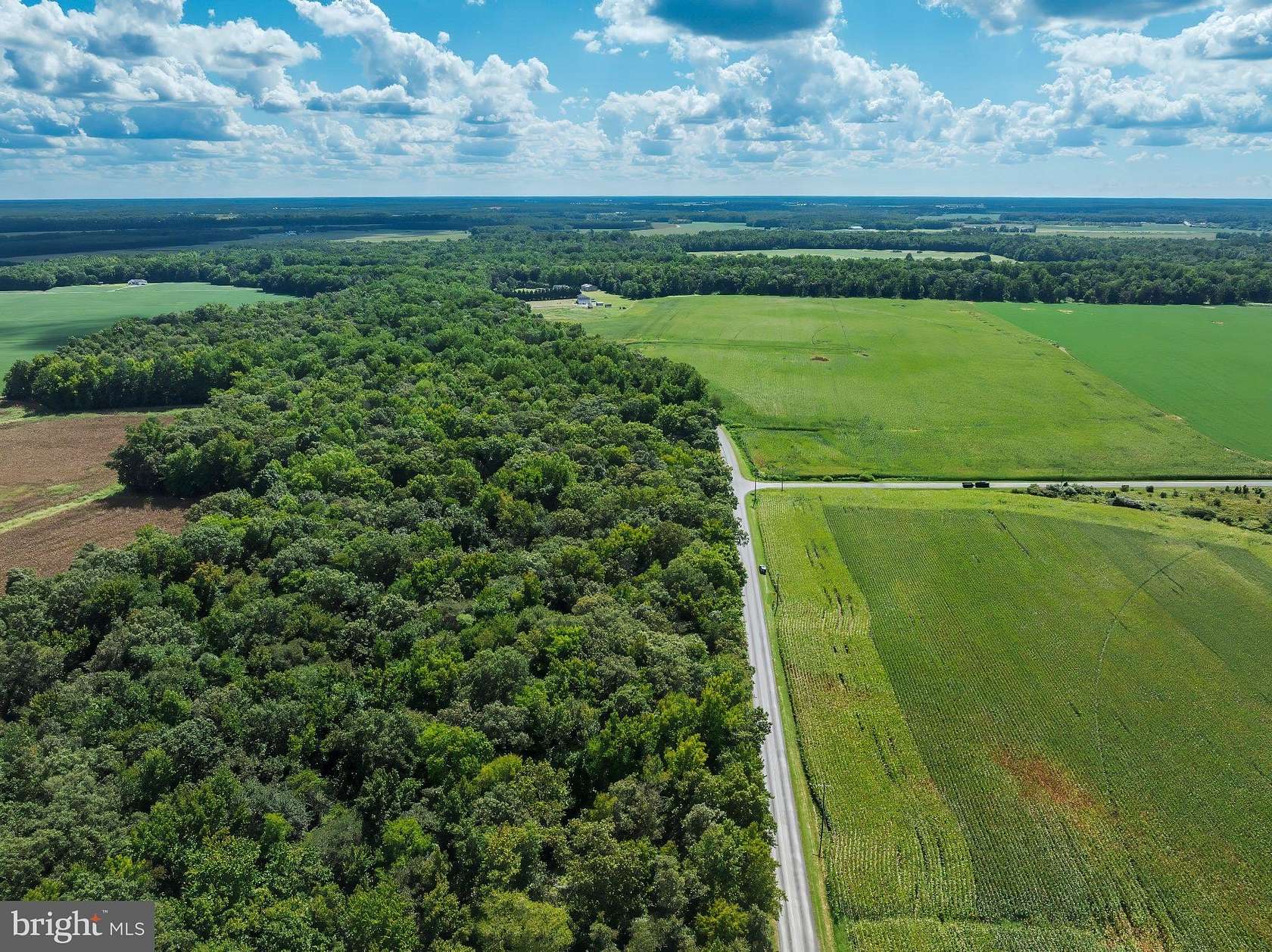 5.62 Acres of Land for Sale in Greensboro, Maryland