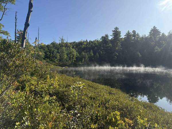 46 Acres of Recreational Land for Sale in Ossipee, New Hampshire