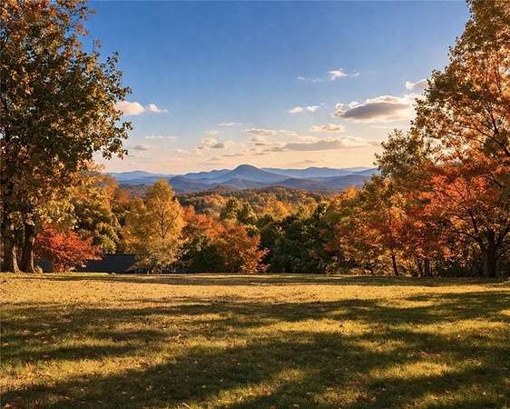 13.5 Acres of Recreational & Residential Land for Sale in Cornelia, Georgia