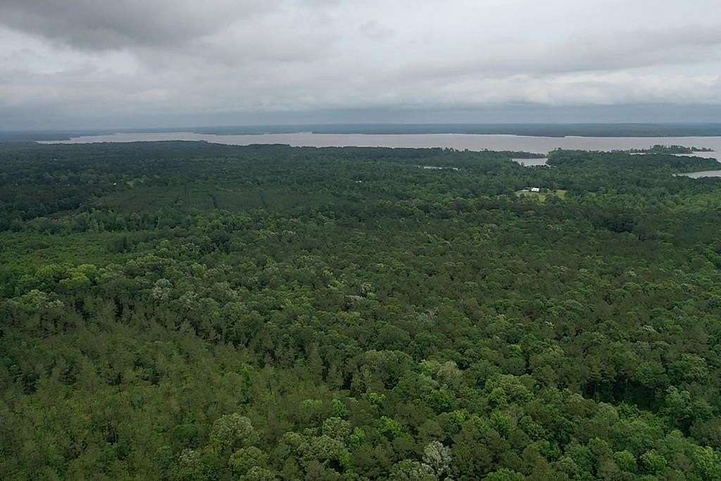25 Acres of Recreational & Residential Land for Sale in Huntington, Texas