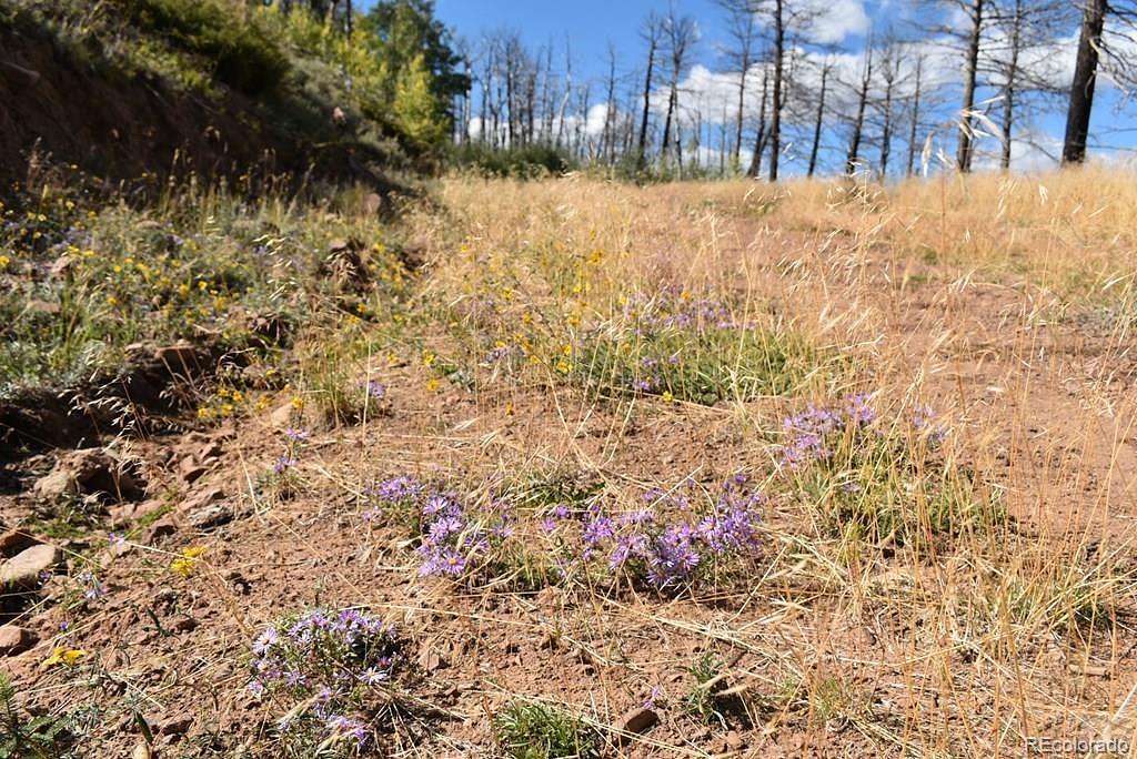 5 Acres of Residential Land for Sale in Fort Garland, Colorado
