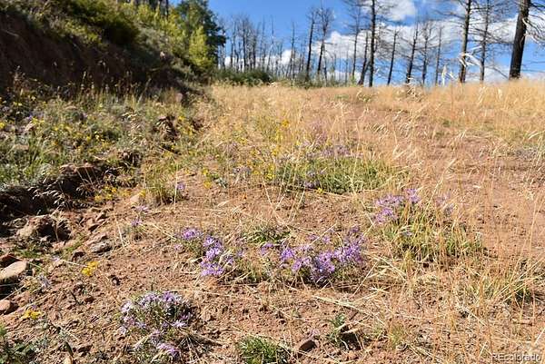 5 Acres of Residential Land for Sale in Fort Garland, Colorado