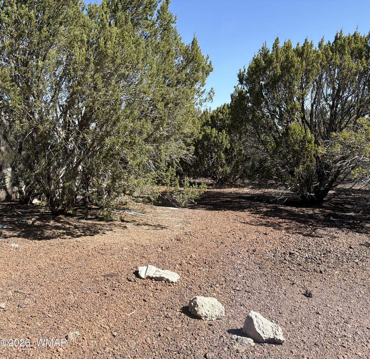 1.16 Acres of Residential Land for Sale in Vernon, Arizona