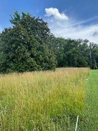 25 Acres of Land for Sale in Mooreville, Mississippi