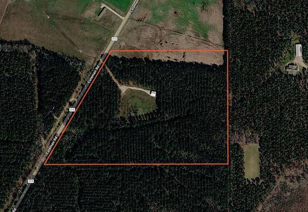 20 Acres of Recreational & Residential Land for Sale in Thaxton, Mississippi