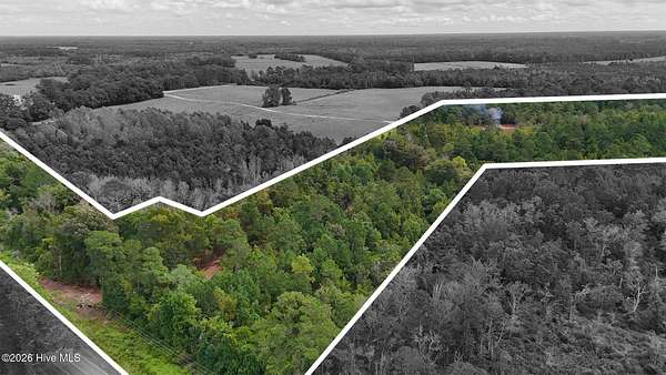 20 Acres of Recreational & Residential Land for Sale in Wallace, North Carolina