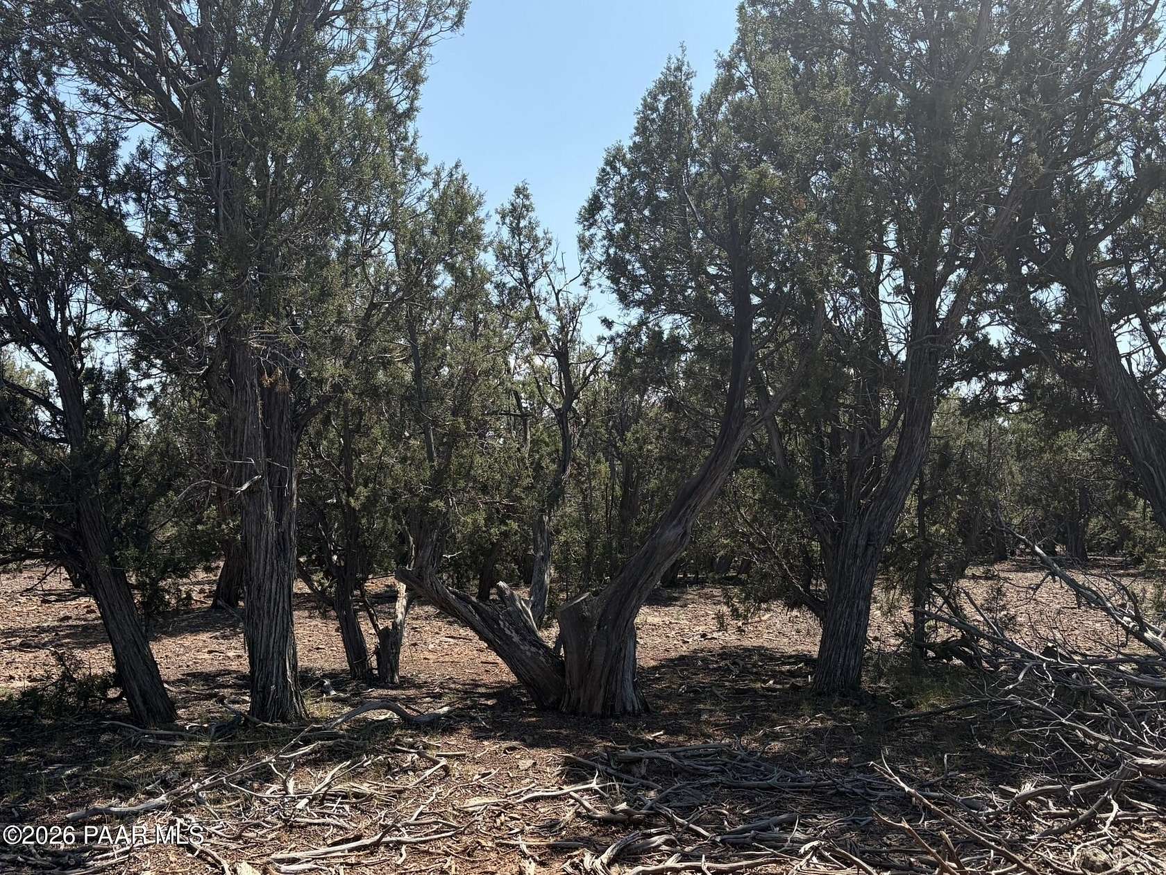 10 Acres of Recreational & Residential Land for Sale in Williams, Arizona
