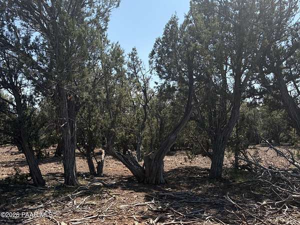 10 Acres of Recreational & Residential Land for Sale in Williams, Arizona