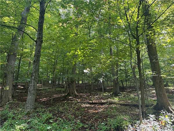 0.6 Acres of Residential Land for Sale in Utica, New York