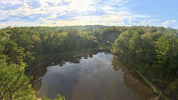 71 Acres of Recreational & Residential Land for Sale in Florala, Alabama