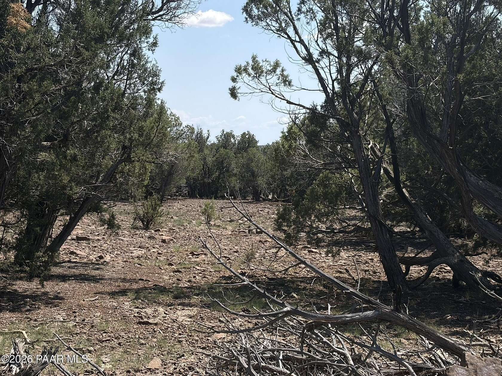 10 Acres of Recreational & Residential Land for Sale in Williams, Arizona
