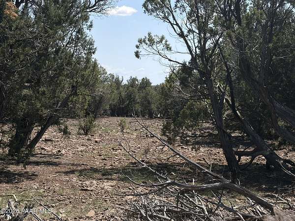 10 Acres of Recreational & Residential Land for Sale in Williams, Arizona
