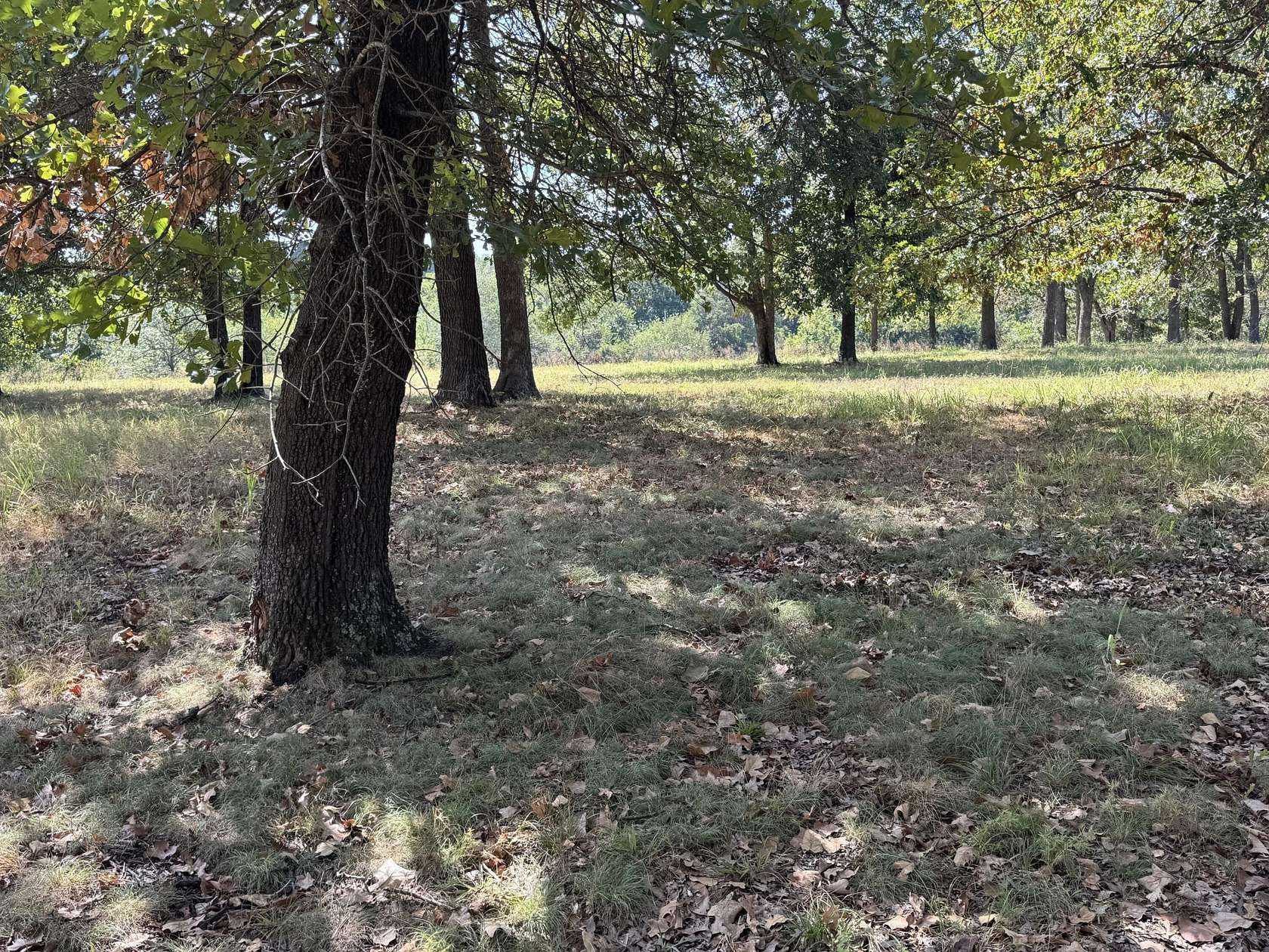 4 Acres of Residential Land for Sale in Grove, Oklahoma
