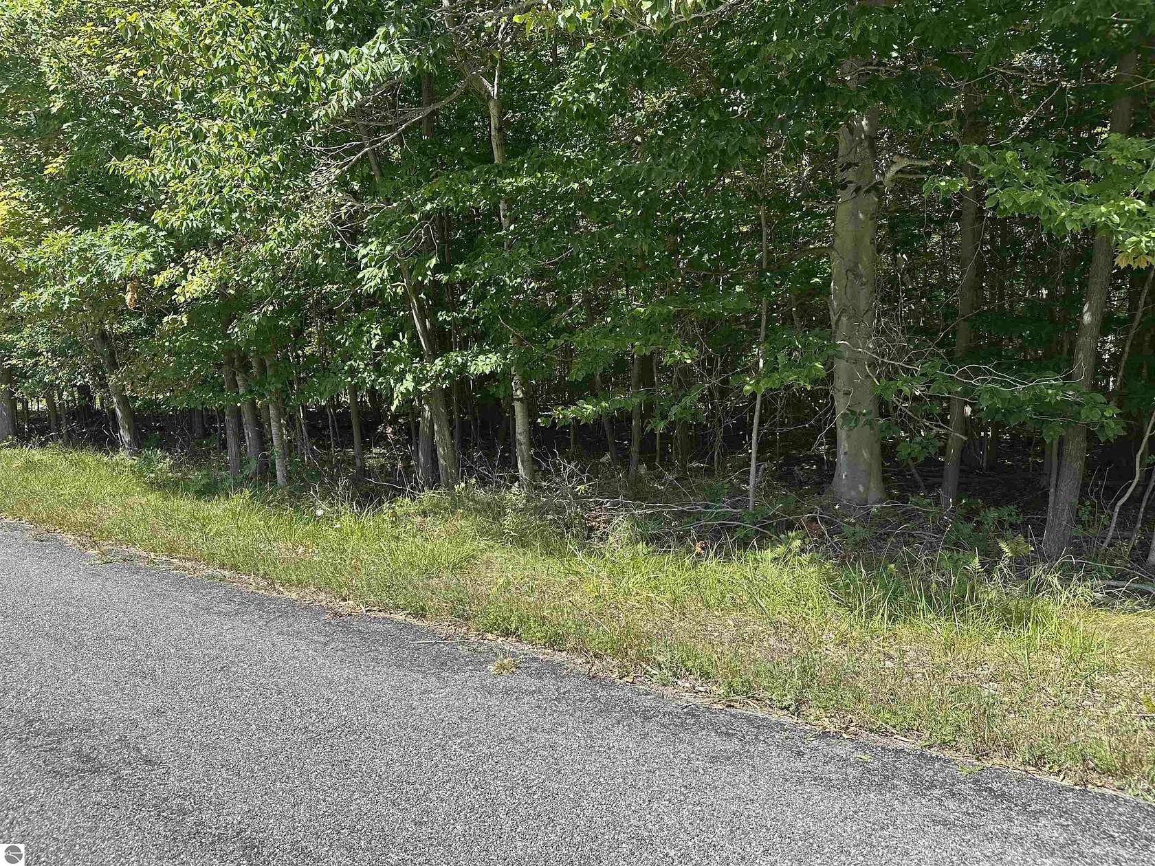 0.25 Acres of Land for Sale in Kewadin, Michigan