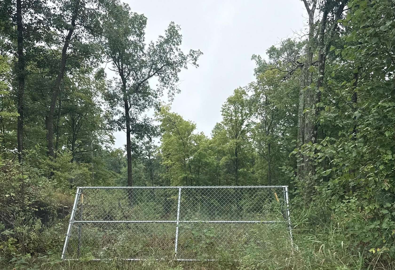 69.7 Acres of Recreational & Residential Land for Sale in Luck, Wisconsin