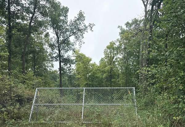 69.7 Acres of Recreational & Residential Land for Sale in Luck, Wisconsin
