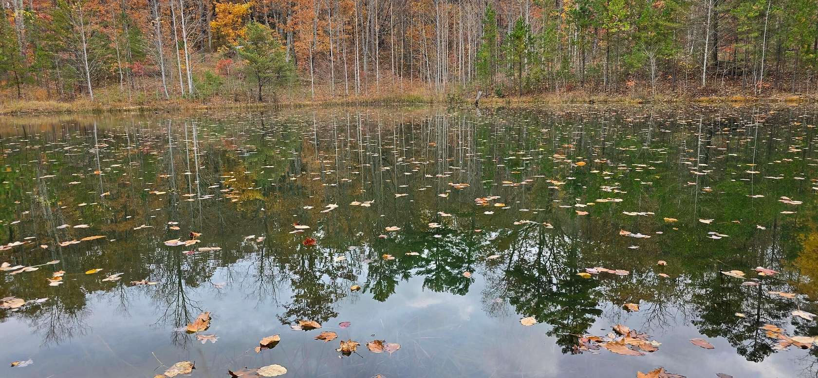 17 Acres of Recreational & Residential Land for Sale in Dunlap, Tennessee