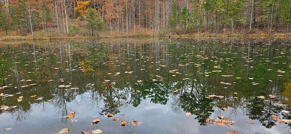 17 Acres of Recreational & Residential Land for Sale in Dunlap, Tennessee