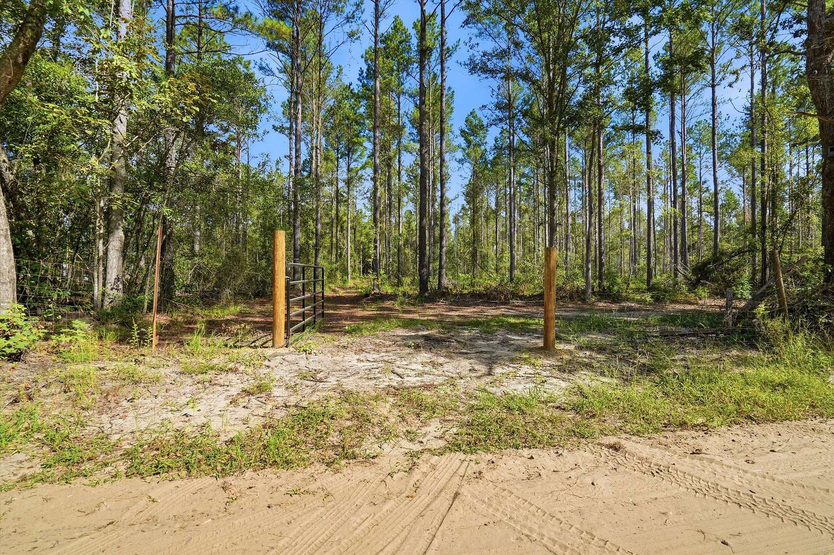 153 Acres of Land for Sale in Walterboro, South Carolina