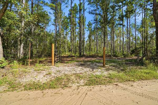 153 Acres of Land for Sale in Walterboro, South Carolina