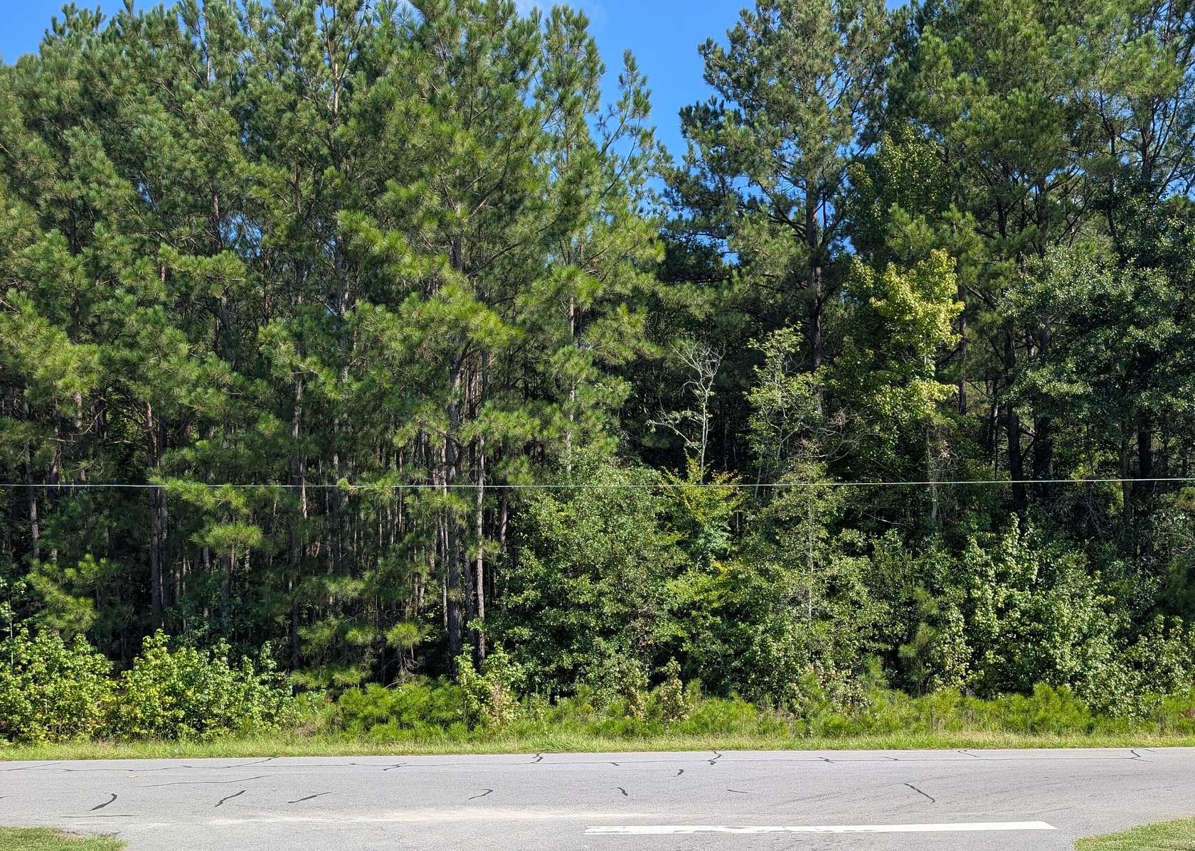 0.22 Acres of Land for Sale in Walterboro, South Carolina