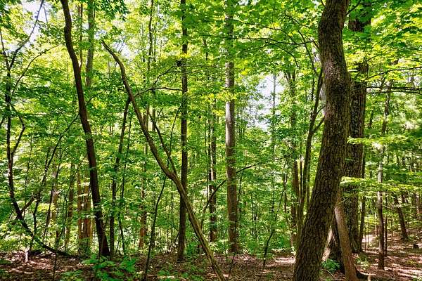 0.48 Acres of Residential Land for Sale in Ellijay, Georgia