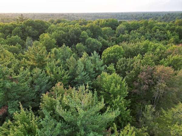 6.16 Acres of Residential Land for Sale in Alger, Michigan