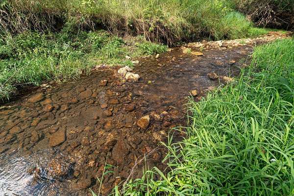 111 Acres of Recreational Land with Home for Sale in Viola, Wisconsin