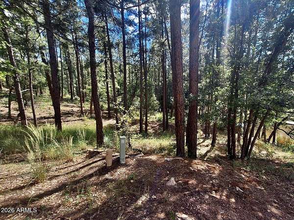 0.6 Acres of Residential Land for Sale in Payson, Arizona