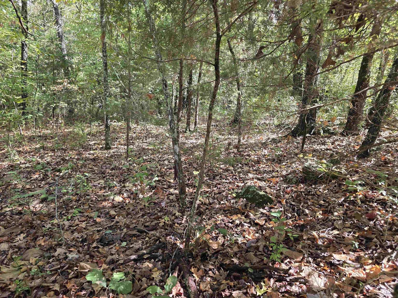 0.28 Acres of Residential Land for Sale in Horseshoe Bend, Arkansas